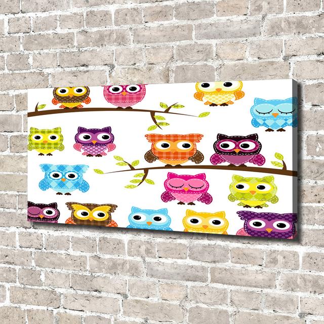 Colourful Owls - Wrapped Canvas Art Prints Harriet Bee on Productcaster.