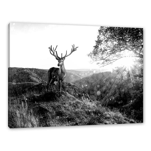 Leinwandbild Graceful Deer at Sunset Alpen Home Maße: 60 cm H x 80 cm B x 1,8 cm T on Productcaster.