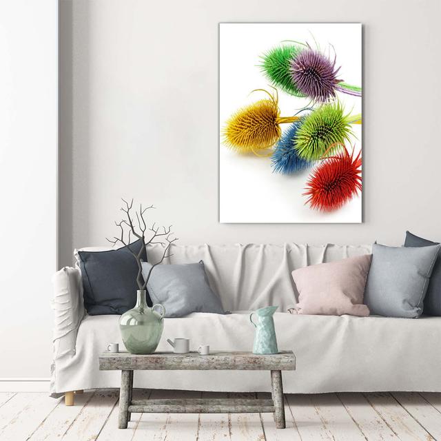 Distel - Kunstdrucke auf Leinwand - Wrapped Canvas Ebern Designs on Productcaster.