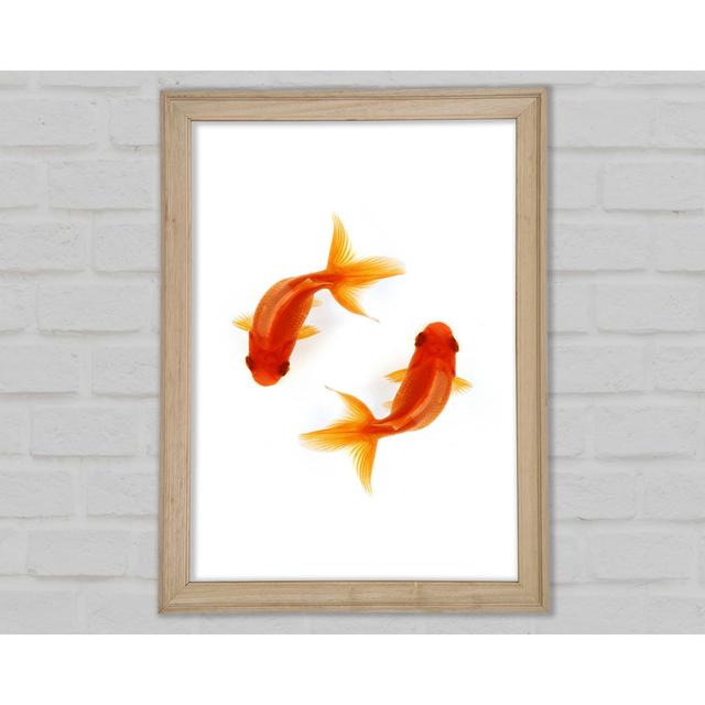 Goldfish Reflections - Single Picture Frame Art Prints Highland Dunes Size: 29.7cm H x 21cm W x 1.5cm D on Productcaster.