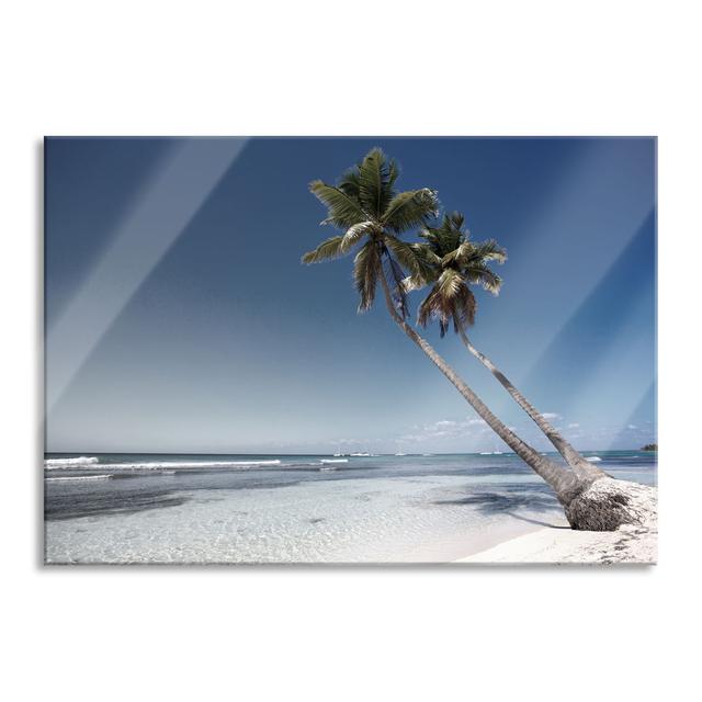 Two Palm Trees Protrude over the Water - Unframed Photograph on Glass 17 Stories Size: 70cm H x 100cm W x 0.4cm D on Productcaster.