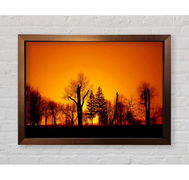 The Forest Aglow Framed Print Union Rustic Size: 59.7cm H x 84.1cm W on Productcaster.