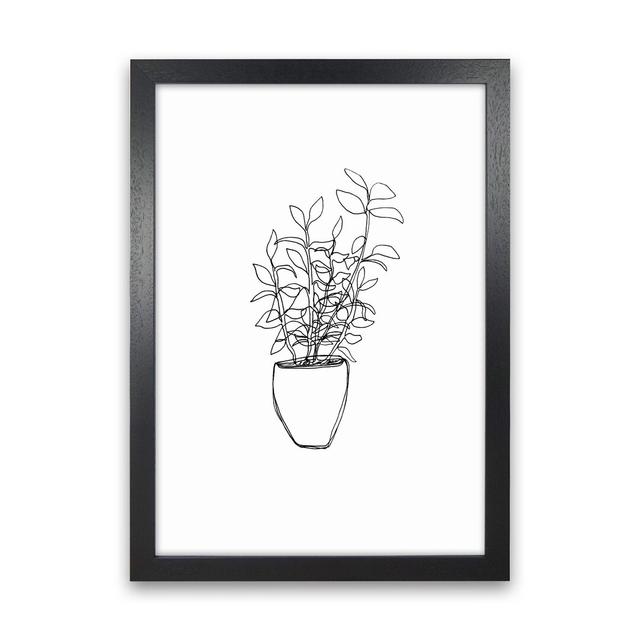 Tea Plant by Carissa Tanton - Drawing Print on Paper Ophelia & Co. Size: 34cm H x 25cm W x 3cm D, Frame Option: Black Framed on Productcaster.