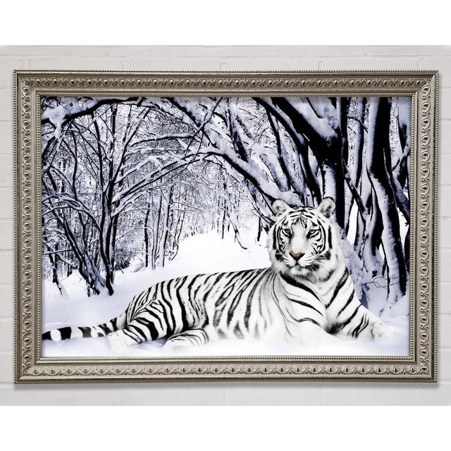 Silberner Tiger im Schnee - Einzelner Bilderrahmen Kunstdrucke BohoLiving Größe: 21 cm H x 29,7 cm B on Productcaster.