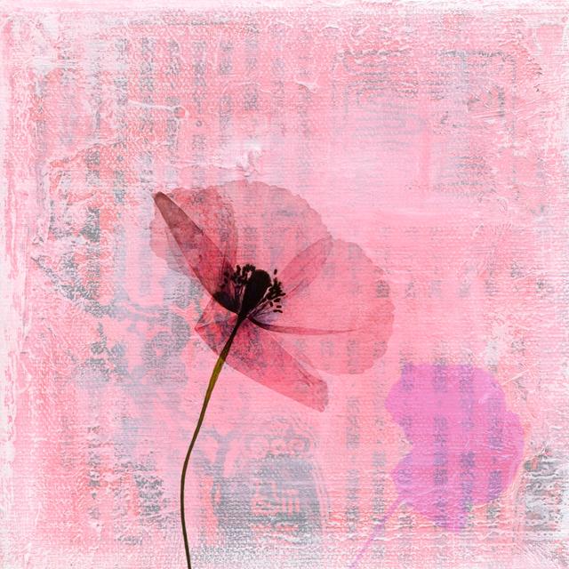 Pressed Poppy Flower on Textured Art Background - Wrapped Canvas Painting Rosalind Wheeler Size: 30cm H x 30cm W x 3.8cm D on Productcaster.