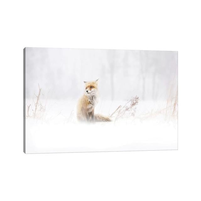 Waiting... by Doris Reindl - Wrapped Canvas Print Union Rustic Size: 45.72cm H x 66.04cm W x 1.905cm D on Productcaster.