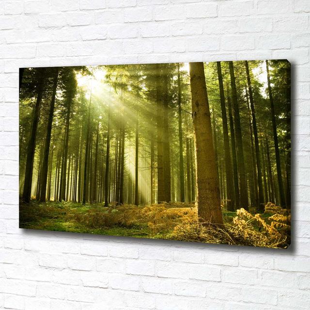 A Pine Forest - Wrapped Canvas Art Prints Union Rustic on Productcaster.