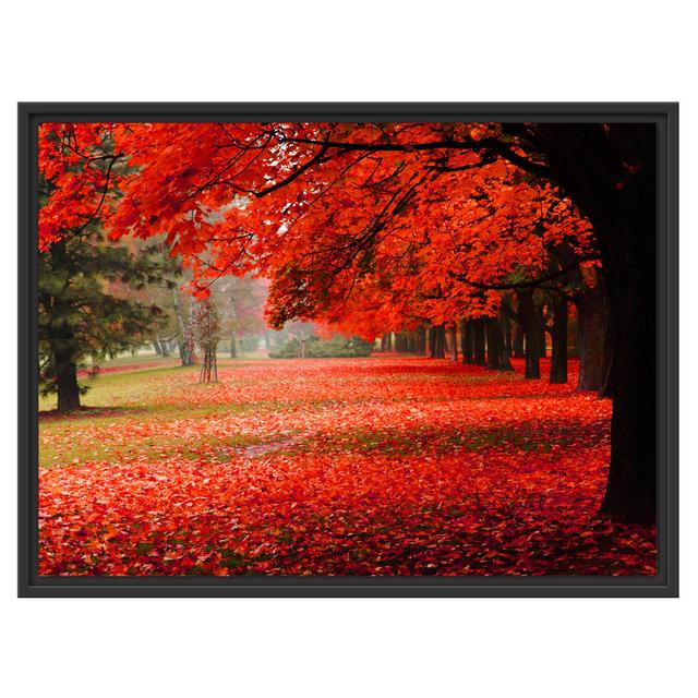 Gerahmtes Wandbild Rot gefärbter ParkHerbst East Urban Home Größe: 60 cm H x 80 cm B on Productcaster.