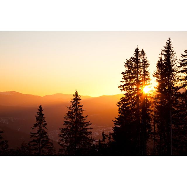 Winter Sun by YouraPechkin - Print Alpen Home Size: 51cm H x 76cm W on Productcaster.