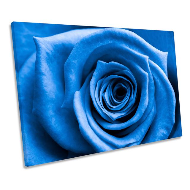 Rose Floral Petals Love - Wrapped Canvas Graphic Art Ebern Designs Size: 40.6cm H x 61cm W on Productcaster.