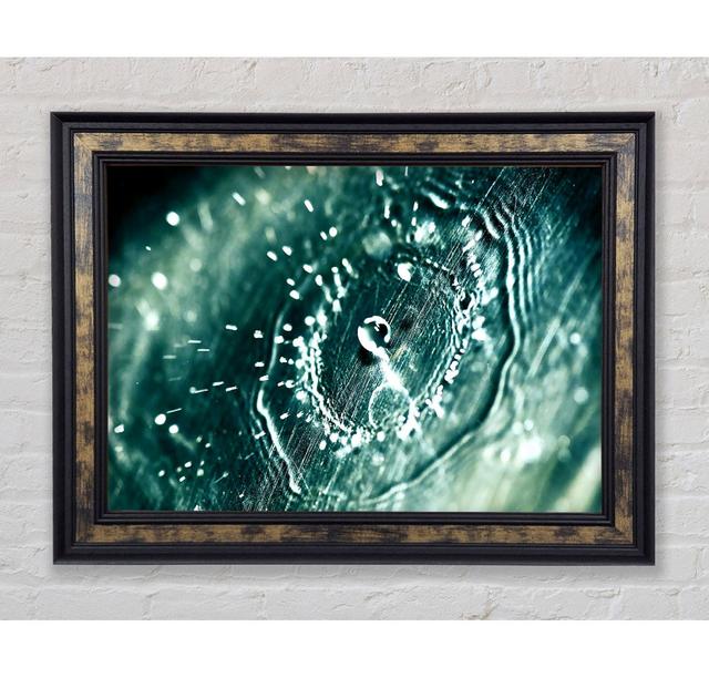 Gerahmtes Leinwandbild Water Splash Drop Framed Print Ebern Designs Format: Charlotte Schwarz Gerahmtes Papier, Größe: 59,7 cm H x 84,1 cm B x 3 cm T on Productcaster.