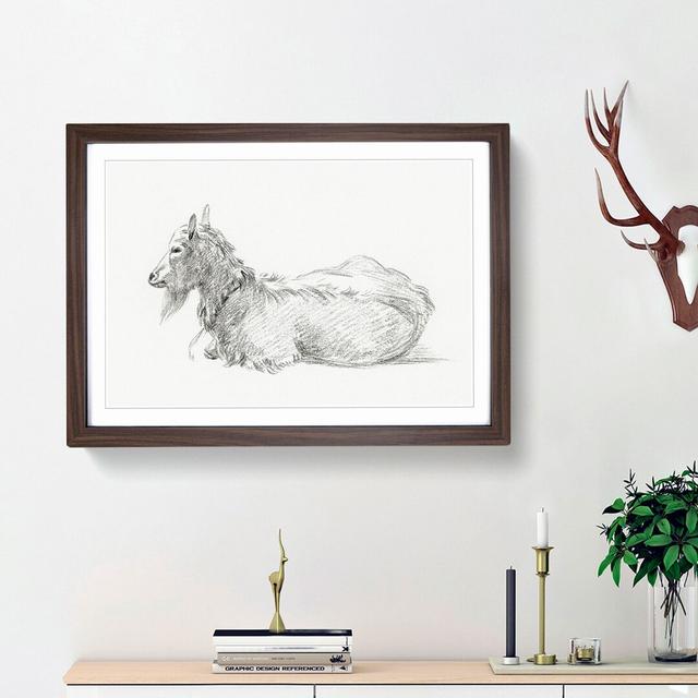 A Resting Goat by Jean Bernard - Single Picture Frame Print East Urban Home Frame Option: Walnut Framed, Size: 45cm H x 63cm W x 2cm D on Productcaster.