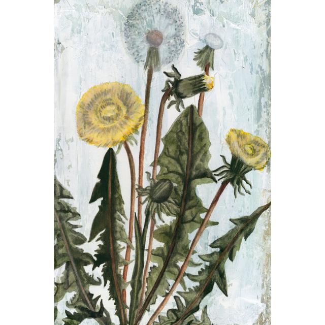 Dandelion Patina II by Naomi McCavitt - Wrapped Canvas Art Prints August Grove Size: 91cm H x 61cm W x 3.8cm D on Productcaster.