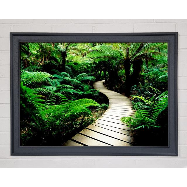 Rainforest Walk - Einzelner Bilderrahmen Kunstdrucke Alpen Home Größe: 42 cm H x 59,7 cm B x 1,5 cm T on Productcaster.