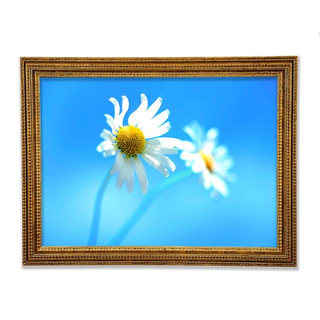 Duo Daisy Skies - Single Picture Frame Print Brayden Studio Size: 84.1cm H x 118.9cm W x 3cm D, Format: Gold Framed Paper on Productcaster.