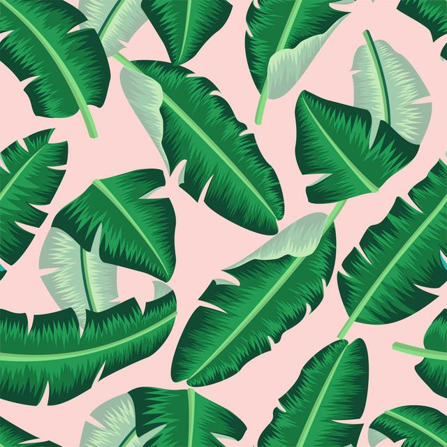 Hrima Banana Leaves - Print Bay Isle Home Size: 122cm H x 122cm W x 3.8cm D on Productcaster.