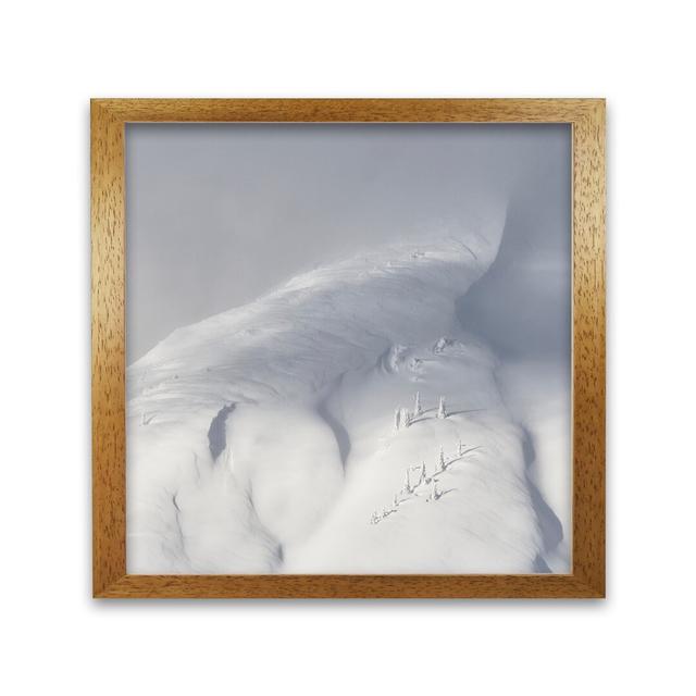 'Planet Snow 2' Framed Photographic Print Alpen Home Size: 40 cm H x 40 cm W, Frame Options: Honey Oak on Productcaster.