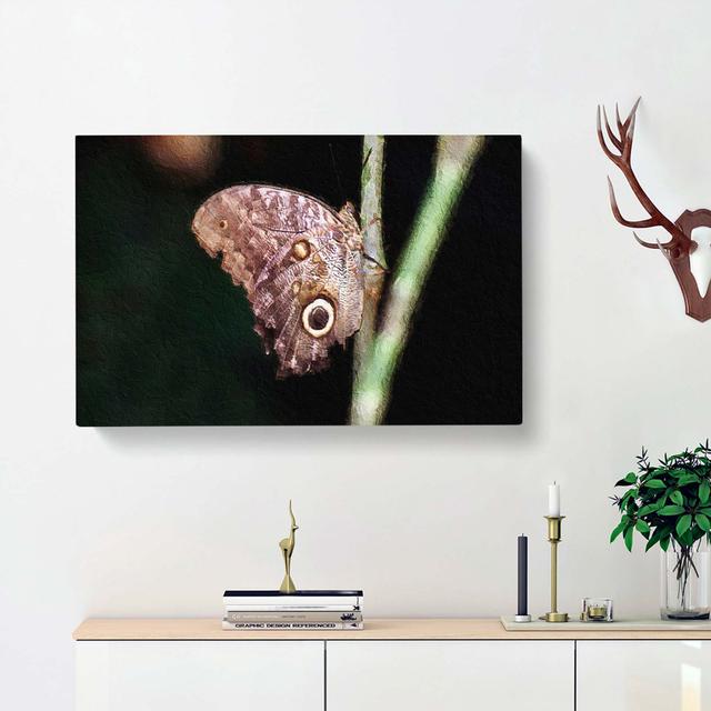 Beauty of a Butterfly - Wrapped Canvas Painting Pint East Urban Home Size: 50cm H x 76cm W x 3cm D on Productcaster.