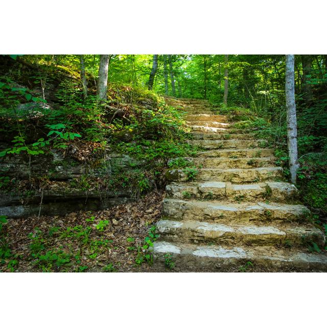 Stairway to Heaven - Wrapped Canvas Photograph Union Rustic Size: 30cm H x 46cm W x 3.8cm D on Productcaster.