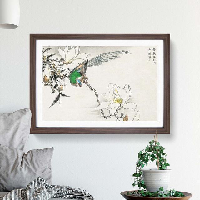 Pipit Bird and White Magnolias by Numata Kashu - Picture Frame Painting Print East Urban Home Frame Option: Walnut, Size: 35cm H x 50cm W x 2cm D on Productcaster.