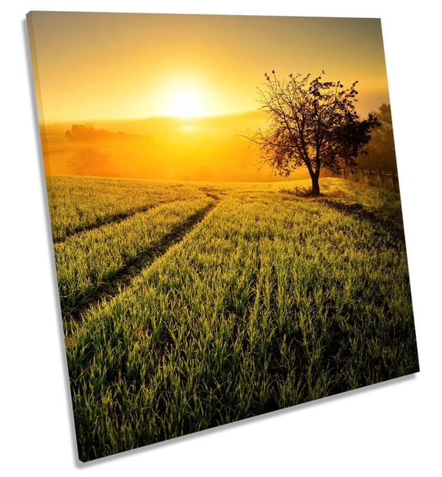 Summer Sunset Tree Landscape - Wrapped Canvas Photograph Latitude Run Size: 60cm H x 60cm W x 2cm D on Productcaster.