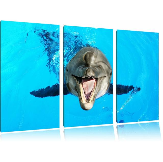 3-tlg. Leinwandbilder-Set „Delfin lacht“, Fotodruck Pixxprint on Productcaster.