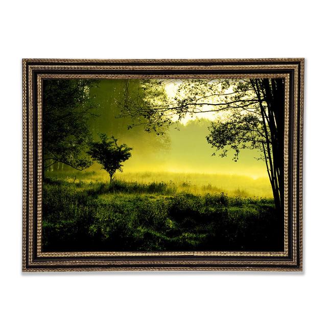 Countryside Mist - Single Picture Frame Art Prints Ebern Designs Size: 59.7cm H x 84.1cm W x 3cm D, Format: Rembrandt Black/Gold Framed Paper on Productcaster.