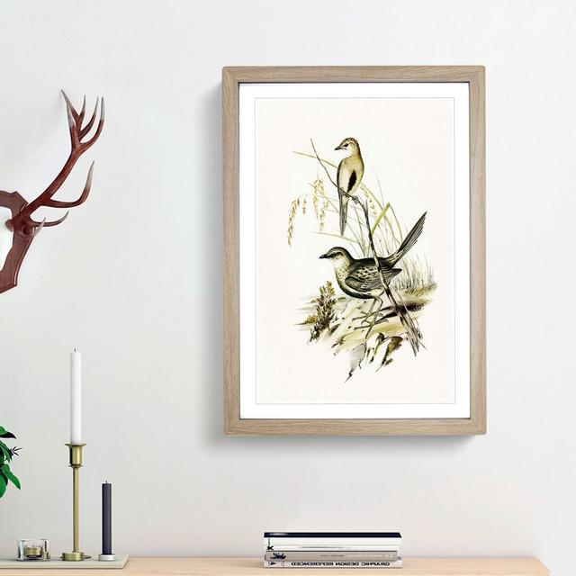 Brown Songlarks by Elizabeth Gould - Picture Frame Painting Print East Urban Home Frame Option: Oak Framed, Size: 48cm H x 36cm W x 2cm D on Productcaster.