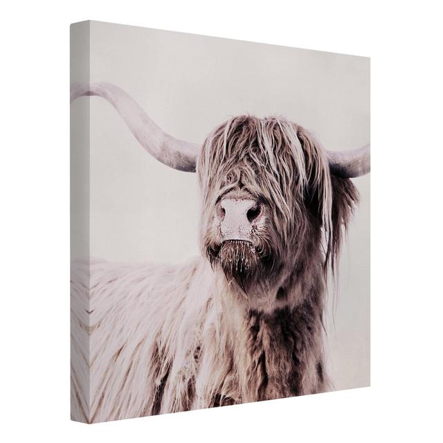 Highland Cattle Frida in Beige by Monika Strigel - Wrapped Canvas Photograph Gracie Oaks on Productcaster.