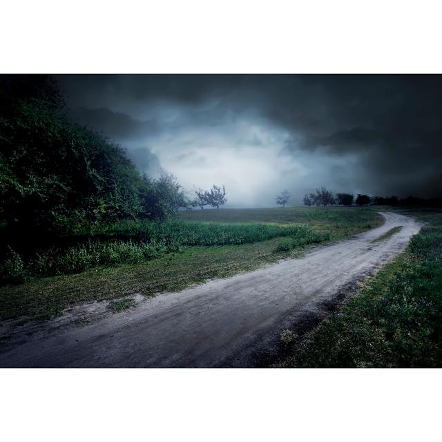 Road Through the Meadow by Leolintang - Wrapped Canvas Photograph 17 Stories Size: 30cm H x 46cm W on Productcaster.