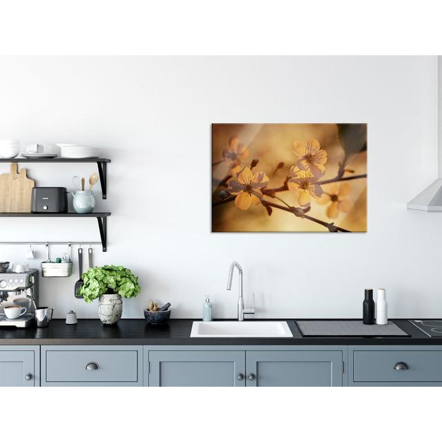 White Blossoms in Sunlight - Unframed Graphic Art on Glass Brayden Studio Size: 70cm H x 100cm W x 0.4cm D on Productcaster.