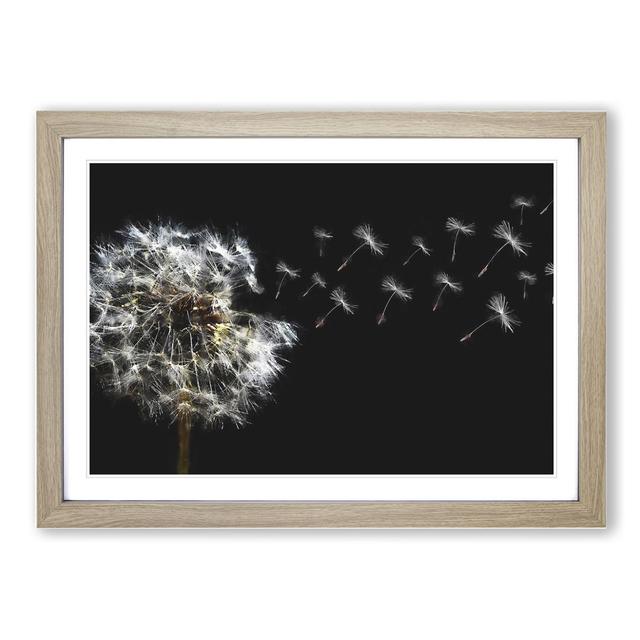 Dandelion Seeds Vol.10 - Picture Frame Graphic Art East Urban Home Frame Option: Oak Framed, Size: 36cm H x 48cm W x 2cm D on Productcaster.