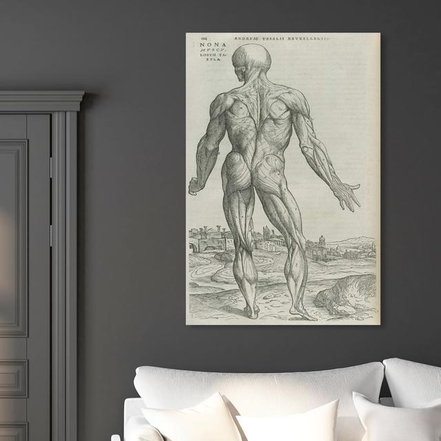 Vesalius - Wrapped Canvas Print East Urban Home Size: 15 cm H x 10 cm W on Productcaster.