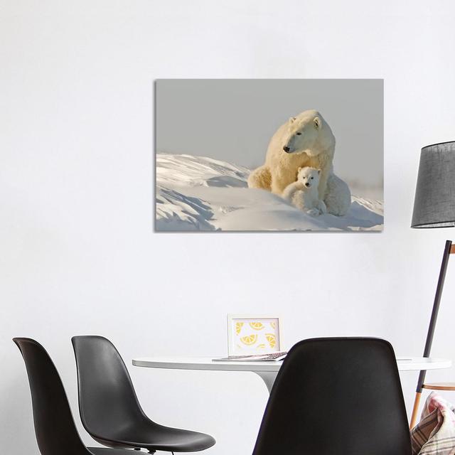 Polar Bear Cubs I by Miguel Lasa - Wrapped Canvas Art Prints Latitude Run Size: 66.04cm H x 101.6cm W on Productcaster.