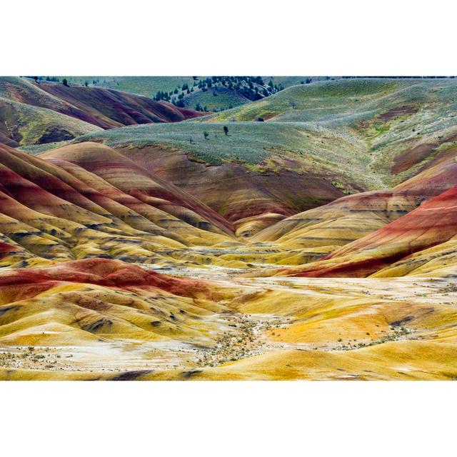 Painted Hills Oregon by Sonyalang - Wrapped Canvas Photograph Alpen Home Size: 61cm H x 91cm W on Productcaster.