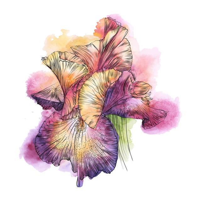 Iris Flower Watercolor by Andrea_Hill - Wrapped Canvas Print Marlow Home Co. Size: 30cm H x 30cm W on Productcaster.