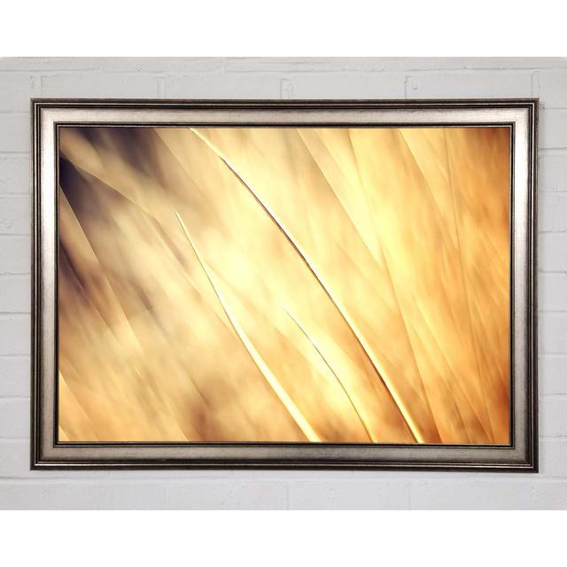 Autumn Grass Framed Print Brayden Studio Size: 21cm H x 29.7cm W x 1.5cm D, Format: Grey Framed Paper on Productcaster.