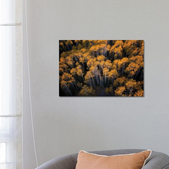 Aspen in Autumn by Mei Xu - Wrapped Canvas Graphic Art Alpen Home on Productcaster.