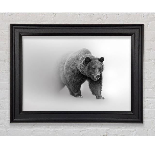 Bear In The Mist Framed Print Union Rustic Size: 42cm H x 59.7cm W on Productcaster.