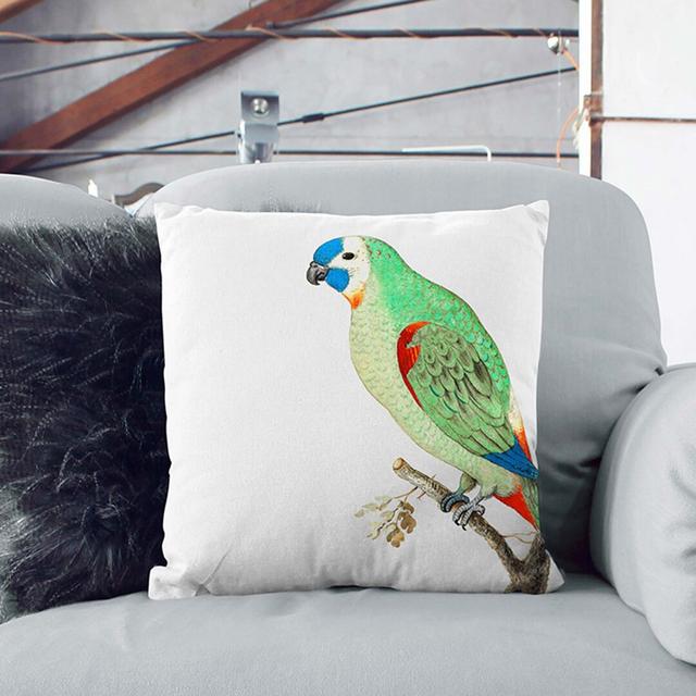 Amazon Parrot Cushion with Filling East Urban Home Backing Colour: Black, Size: 40 x 40 cm on Productcaster.