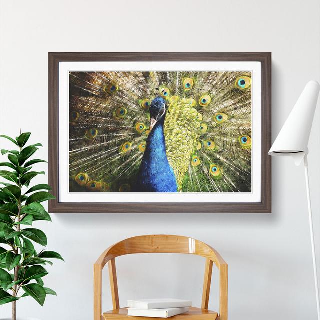 Peacock Vol.2 - Picture Frame Graphic Art East Urban Home Size: 48cm H x 65cm W x 2cm D, Frame Option: Walnut Framed on Productcaster.