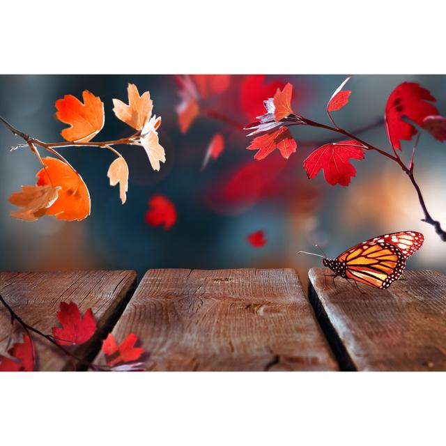 Eliada Red Leaves And Butterfly In The Autumn Forest - Wrapped Canvas Photograph Latitude Run Size: 51cm H x 76cm W x 3.8cm D on Productcaster.