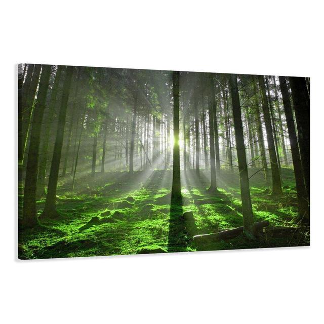 Leinwandbild Archbald Waldlichtung Alpen Home Größe: 80 cm H x 120 cm B x 2 cm T on Productcaster.