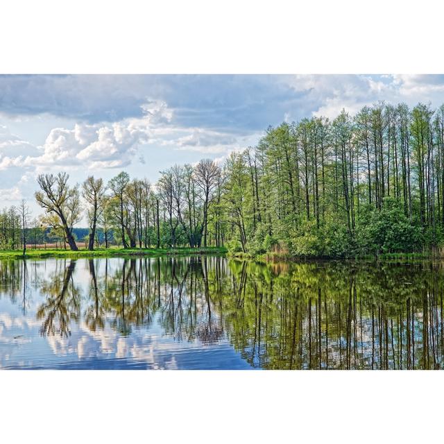 Sky Reflecting in Pond by Roman Babakin - Wrapped Canvas Photograph 17 Stories Size: 20cm H x 30cm W x 3.8cm D on Productcaster.