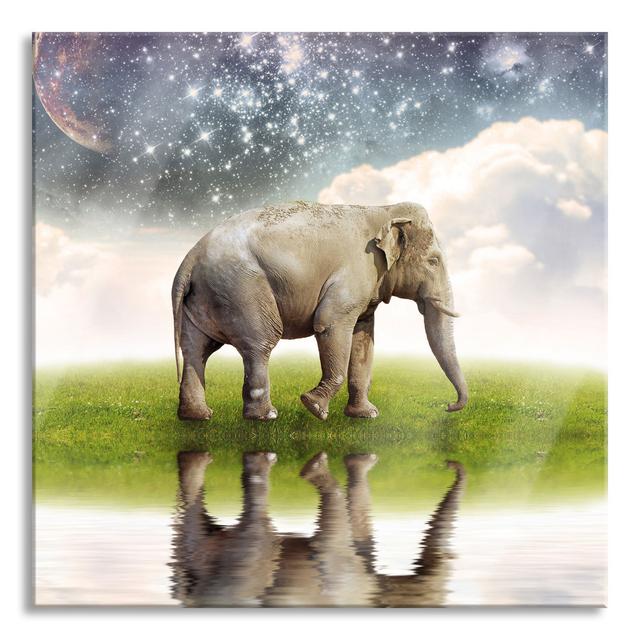 Lonely Elephant and Starry Sky - Unframed Photograph on Glass Ebern Designs Size: 80cm H x 80cm W on Productcaster.