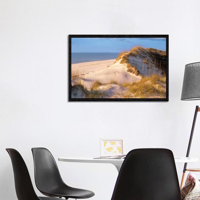 Coastal Sand Dunes, Saint Joseph Peninsula, Florida by Tim Fitzharris - Gallery-Wrapped Canvas Giclée on Canvas Beachcrest Home Size: 66.04cm H x 101. on Productcaster.