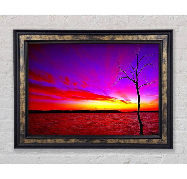 Single Picture Frame Art Prints Bright Star Size: 100cm H x 141.4cm W on Productcaster.