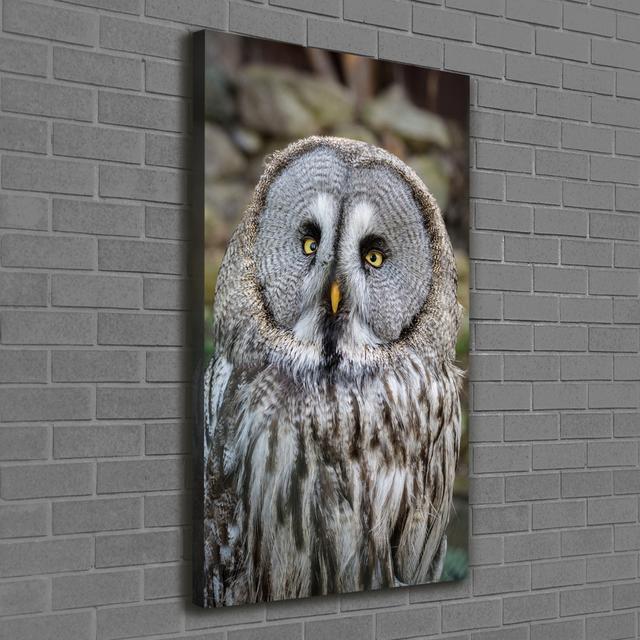 Owl - Wrapped Canvas Art Print Union Rustic on Productcaster.