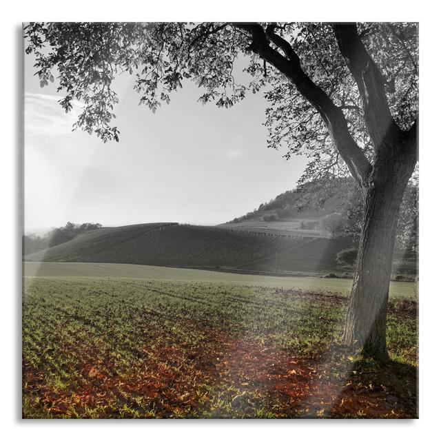 Autumn Landscape - Unframed Photograph on Glass Union Rustic Size: 80cm H x 80cm W x 0.4cm D on Productcaster.