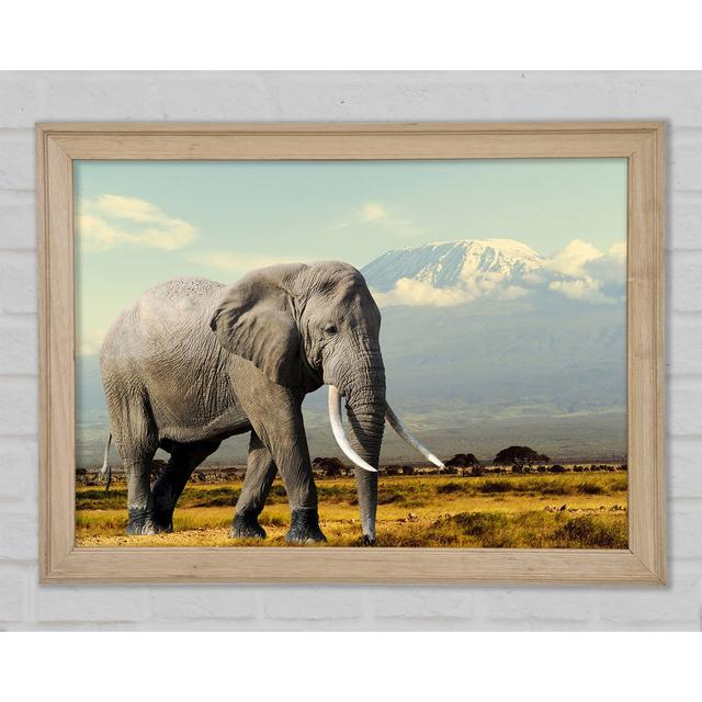 Elephant Roaming - Print Union Rustic Size: 84.1cm H x 118.9cm W x 1.5cm D on Productcaster.